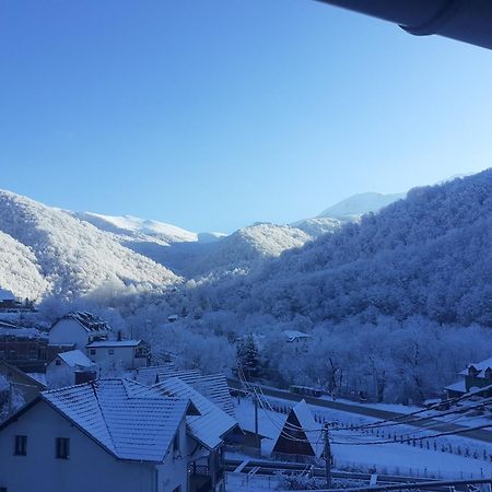 Std Cvetkovic Bed & Breakfast Crni Vrh Bagian luar foto