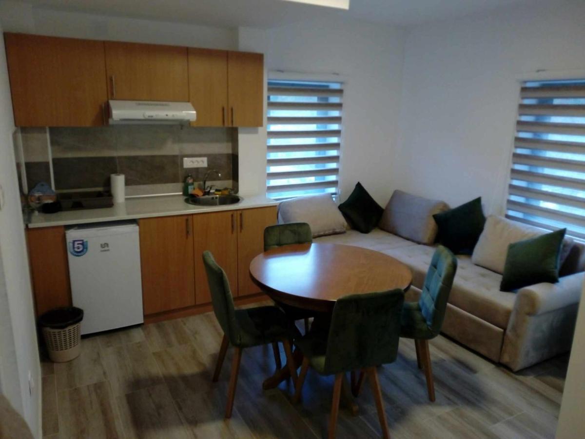 Std Cvetkovic Bed & Breakfast Crni Vrh Bagian luar foto
