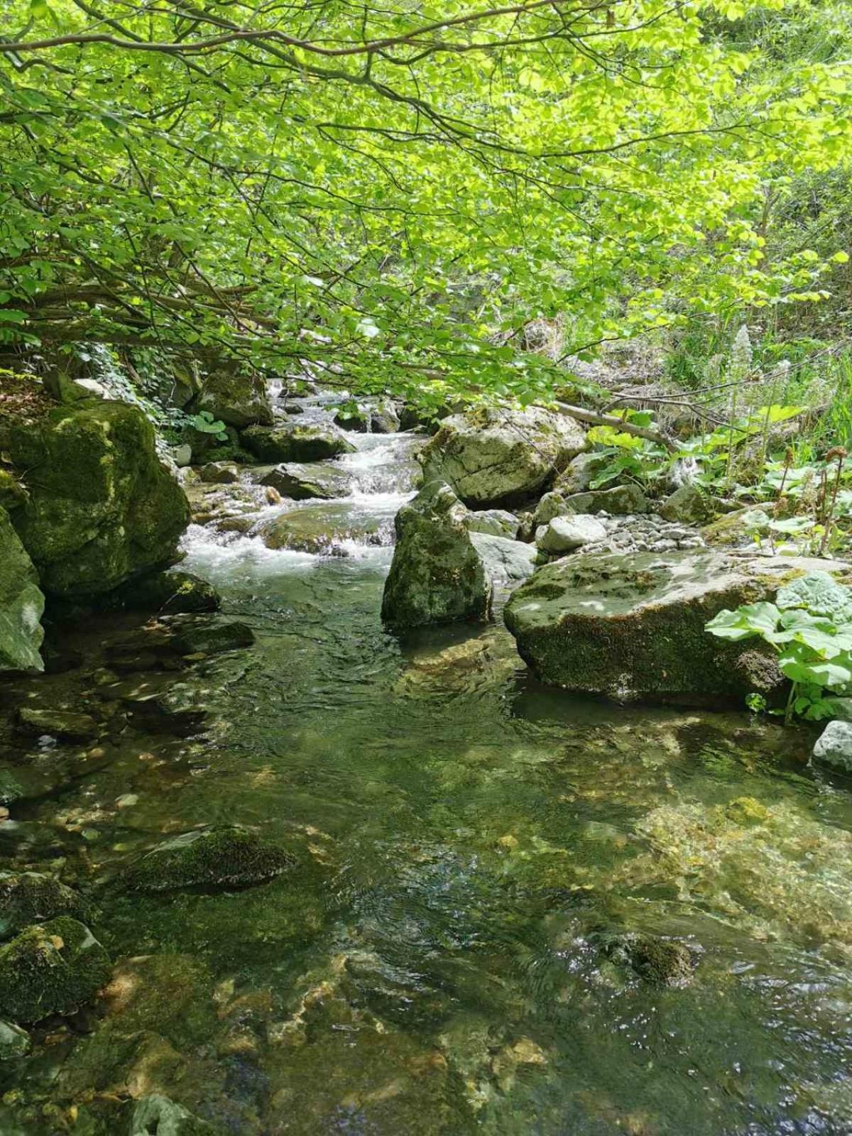 Std Cvetkovic Bed & Breakfast Crni Vrh Bagian luar foto