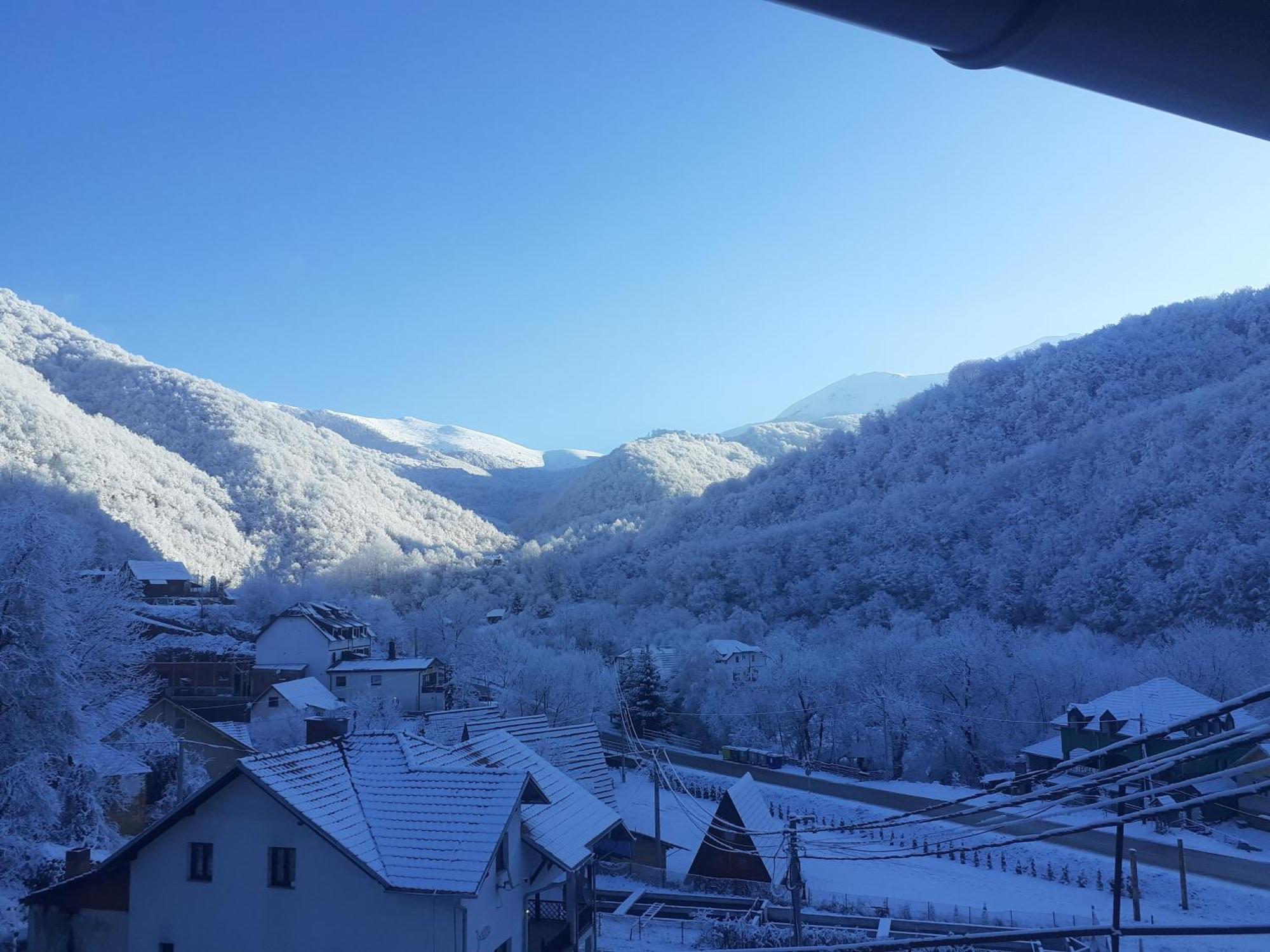 Std Cvetkovic Bed & Breakfast Crni Vrh Bagian luar foto
